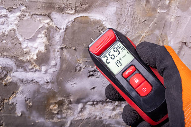 Best Residential Mold Removal  in Irwin, SC