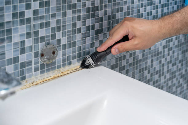 Best Office Mold Removal Services  in Irwin, SC