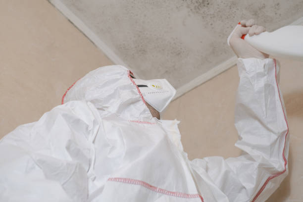 Best Commercial Mold Removal  in Irwin, SC